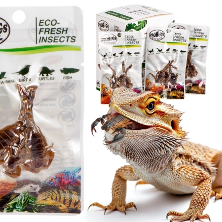 ProBugs Eco-Fresh Scorpion 3pcs - świeże skorpiony